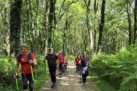 IMG_3016 MN 1 IMG_3016 MN 1