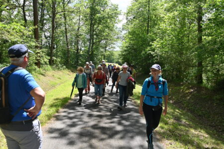 2024_Chenonceaux Shot-37 photo