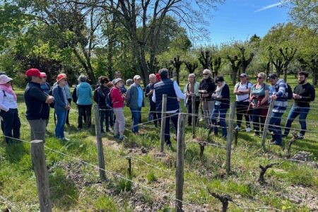 photo1 groupe vigne SHOT 11 04 2025