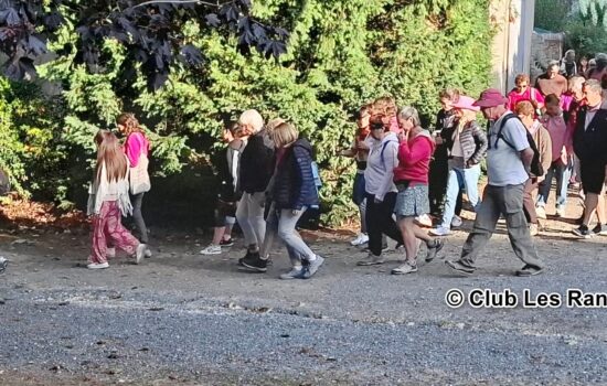 photo MR2026 DMT La Jocondienne Rose Joué 1